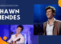 señorita shawn mendes